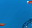 Freedivers capture near drowning incident when speared tuna drags diver into depth