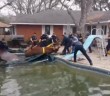 Texas firefighters rescue escaped bull from swimming pool