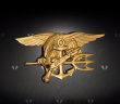 Navy SEAL Athletes â€“ Swimming