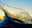 Clark Little Shares His Passion for the Ocean and Shorebreak Photography