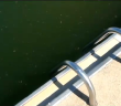 Kanawha County Families Cautious About Swimming After Chemical Leak
