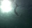 Jonathan Bird’s Blue World: Freediving with Karol Meyer