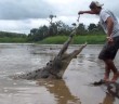 Tourist hand-feeds crocodile