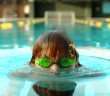 SwimToday – I am an Alligator