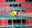 2014 Para Pan Pacs – Aussie swimmers are ready to go!