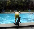 Happy dog helps people get into the pool