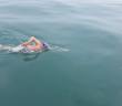 South African Heart Surgeon Becomes Oldest to Swim the English  Channel at 73