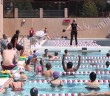 Stanford Aquatics: Swim Clinic â€“ May 2015