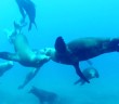Anacapa – Diving With Sea Lions