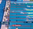 FINA World Championships Highlights