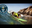 Longest wave Surfed By a Dog