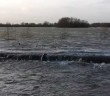 Seal spotted swimming in flooded British field 50 miles inland