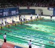 Shots from the FINA Swimming World Cup Dubai 2013