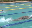 Swimmers fom Nairobi meet at Potterhouse School