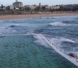 Swimmers & Surfers on Sunrise at Bondi Beach, Sydney, Australia