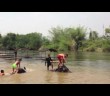 Swimming with elephants in Thailand