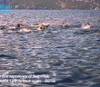 SwimTrek: Open Water Swimming Holiday, Montenegro