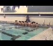 The Harlem Shake (Bison Swim Team Style)