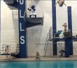 The Harlem Shake (UB Swimming & Diving Style)