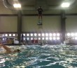 The Harlem Shake (UMBC Swim And Dive Style)
