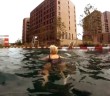 Wild Swim Guide – King’s Cross Pond