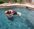 Mastiff swimming lessons