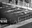 European Swimming Championships At Wembley (1938)
