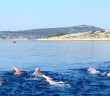 Swimming Holiday Croatia, Long Swims | SwimTrek Adventure Holidays