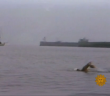 From the archives: Swimming the English Channel