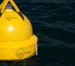 The Most Genius Solution to Australia’s Shark Problem Just Got in the Water The Most Genius Solution to Australia’s Shark Problem Just Got in the Water