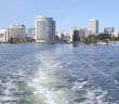 What would it take to make Lake Merritt swimmable | Bay Curious, KQED News