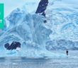 Chill Seekers: Freediving In Antarctica