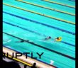 Rubber duck â€˜streakerâ€™ gate-splashes Olympic swim trials in Russia