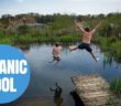 Man’s DIY Natural Swimming Pool Makes Waves Across The Globe