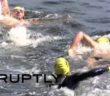 Germany: Berliners swim freely in Spree despite high levels of water pollution