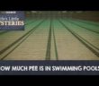 How Much Pee is in Swimming Pools?