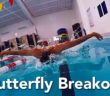 Improve your butterfly swimming technique with a perfect breakout