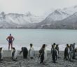 Epic swim in freezing Antarctic waters