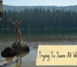 Trying To Swim At Windy Lakes