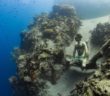 Adam Stern 104 metre dive in Dominica