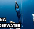 Adam Stern is a freediver, which means he can swim up to 300 feet underwater on a single breath