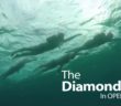 The Diamond drill in OPEN WATER – learn to swim faster as a team