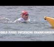 World Fjord Swimming Championships