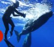 Deciphering the Secret Language of Whales