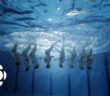 Synchronized Swimming is the Hardest Sport at the Olympics | First Hand | CBC Synchronized Swimming is the Hardest Sport at the Olympics | First Hand | CBC