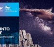 Dive into Peace | Gwangju 2019 – FINA World Championships
