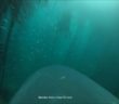 Video From A Camera Attached To A Great White’s Dorsal Fin As It Hunts