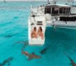 Tiger Sharks Surround Our Boat. We Swim with Them! 🦈 Ep.197