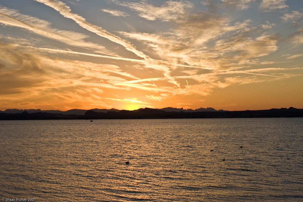 Lake Havasu swimmer dies after being struck by boat propeller