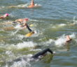 USA Triathlon Partners with USA Swimming, U.S. Masters Swimming to Host Open Water Swim Events